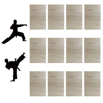 TDIAVH 12pcs Taekwondo Karate Breaking Boards 3mm,Karate Martial Arts Boards,Professional Wood Boards for Taekwondo Breaking,Boxing Equipment Breaking Board Practice Performing for Kids&Adult