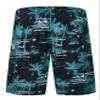 ELETOP Men's Swim Trunks Quick Dry Bathing Suit Swimming Board Shorts Mesh Lining Beach Swimwear Black Green L view 2