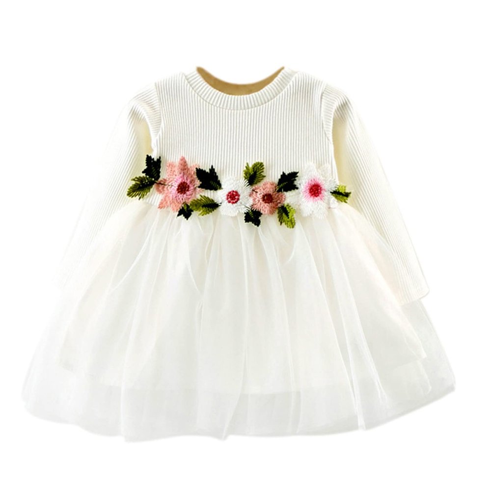 Newborn Baby Girl Clothes Ruffle Round Neck Long Sleeve Mesh Embroidered Tulle Dress Little Girl (White, 12-18 Months)