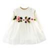 Newborn Baby Girl Clothes Ruffle Round Neck Long Sleeve Mesh Embroidered Tulle Dress Little Girl (White, 12-18 Months) view 1