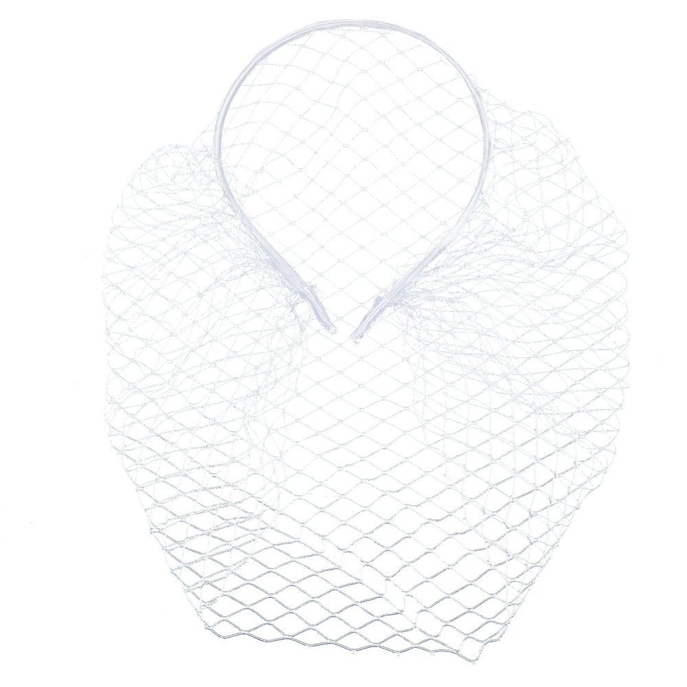 aoozleny 1920s Mesh Veil Headband Vintage Fascinators Bridal Wedding Tea Party Veil for Women (White)