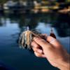 Berkley Power Blade Compact Fishing Spinnerbait view 2