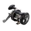 Abu Garcia C3 Species Special Baitcast Round Fishing Reel view 1