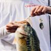 Berkley Power Blade Compact Fishing Spinnerbait view 3