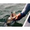 Berkley Power Blade Compact Fishing Spinnerbait view 4