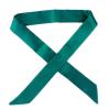 Yizelli Skinny Neck Scarf Solid Color 39.30 Inches Long Narrow Neckerchief Satin Hairband Wristband for Women (Dark Green) view 1
