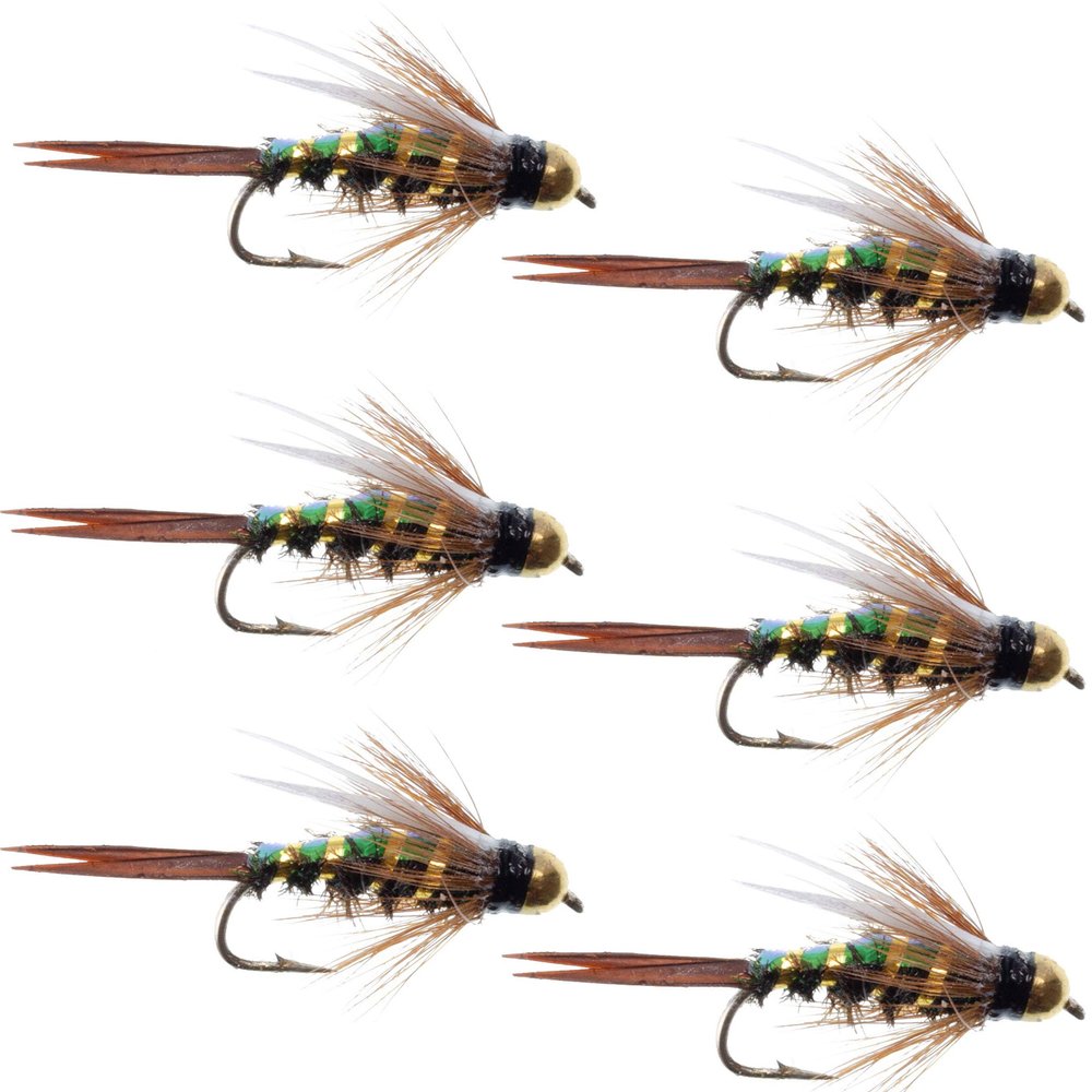 The Fly Fishing Place Tungsten Bead Head Flash Back Prince Nymph Fly Fishing Flies - Set of 6 Flies Hook Size 16