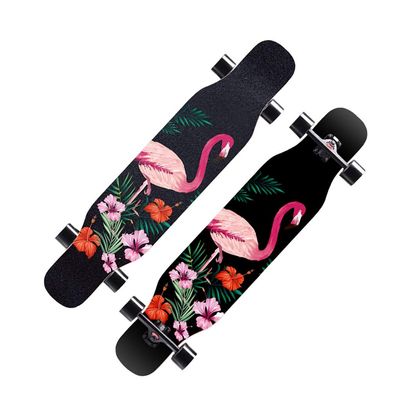 Skateboard Cruiser 7 Layer Maple Wood Deck Complete Skateboard Longboard 43 Inches Drop Through Long Boards Skateboards for Kids Adults, Beginners, Boys, Girls, Teens (Color : Crane)