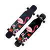 Skateboard Cruiser 7 Layer Maple Wood Deck Complete Skateboard Longboard 43 Inches Drop Through Long Boards Skateboards for Kids Adults, Beginners, Boys, Girls, Teens (Color : Crane) view 1