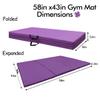 GLANT Gymnastics Bar for Kids with Swing Set, 8 Heights Adjustable Easy Folding Gymnastic Training Bar Kids Monkey Horizontal Bars - Max Load 300LBS (Purple-MAT) view 2