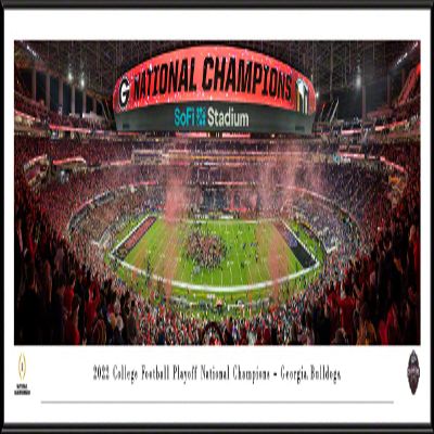 Georgia Bulldogs, 2022 CFP National Champions - 40.25x13.75-inch Standard Framed Print by Blakeway Panoramas