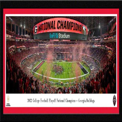 Georgia Bulldogs, 2022 CFP National Champions - 41.5x15-inch Single Mat, Select Framed Picture by Blakeway Panoramas