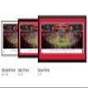 Georgia Bulldogs, 2022 CFP National Champions - 44x18-inch Double Mat, Deluxe Framed Picture by Blakeway Panoramas view 4