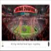 Georgia Bulldogs, 2022 CFP National Champions - Unframed 40 x 13.5 Poster by Blakeway Panoramas view 1