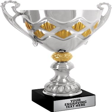 Crown Awards 2023 Personalized August Cup Trophy, 15.625" Engraved Custom 2023 Cup Trophy, Engraving Included