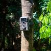 GardePro A3 Trail Camera (Non-Cellular, Non-WiFi), 48MP Photo & 1296P HD Video, 0.1s Trigger, 100ft No-Glow Night Vision, Motion Activated Wildlife Camer view 2