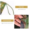 Jolan Sunscreen Camouflage Netting,Military Reinforced Camo Netting,Woodland,Camping,Hunting,Army,Party Decoration,Car Cover,2m 3m 4m 5m 6m 7m 8m 9m 10m Camouflage Shade Net,Jungle-79m(23 * 29.5ft) view 3