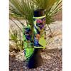 Schulz Equine 2 Pack Aloha Splint Boots (Large) view 1