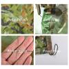 Jolan Camouflage Shade Net,Military Reinforced Camouflage Netting 23m 33m 34m 35m 36m 45m 48m 55m,Camping,Hunting,Army,Decorative,Car Cover,Sunscreen Camo Netting,Jungle-1.5x4m(4.9x13.1ft) view 2