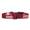 Arkansas Razorbacks Collars and Leashes | Officially Licensed | Fits All Pets! (XS Collar) view 4