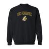 UGP Campus Apparel AW03 - UNC Pembroke Braves Arch Logo Crewneck Sweatshirt - Medium - Black view 1