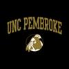 UGP Campus Apparel AW03 - UNC Pembroke Braves Arch Logo Crewneck Sweatshirt - Medium - Black view 2
