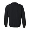 UGP Campus Apparel AW03 - UNC Pembroke Braves Arch Logo Crewneck Sweatshirt - Medium - Black view 3