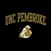 UGP Campus Apparel AW03 - UNC Pembroke Braves Arch Logo Crewneck Sweatshirt - Large - Black view 2