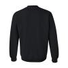 UGP Campus Apparel AW03 - UNC Pembroke Braves Arch Logo Crewneck Sweatshirt - Large - Black view 3