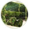 Camouflage Netting for Garden,Shade Net,Military Reinforced Camo Netting 2m 3m 4m 5m 6m 7m 8m 9m 10m,Army,Camping,Hunting,Decorative,Sunscreen Camouflage Net,Car Cover,Jungle-10x10m(32.8*32.8ft) view 1