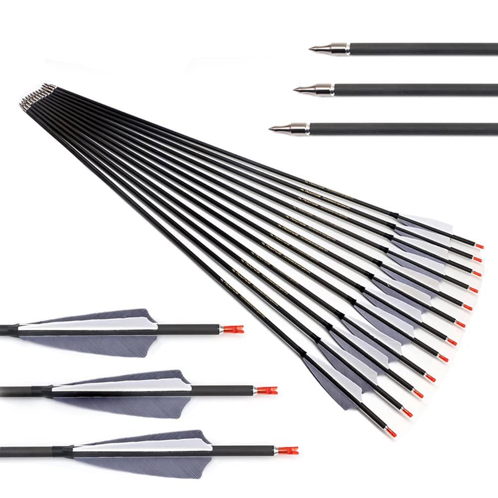 600-Spine Arrow 30-Inch Arrow Target Practice Arrow Hunting Arrow Carbon Arrows Compound Bow Recurve Bow Adult Youth Archery Indoor Outdoor Shooting Bullet Field Tip 24pc Style2