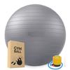 Spancare Gym Ball for Exercise Anti Burst Exercise Ball with Foot Pump for Workout Yoga view 1