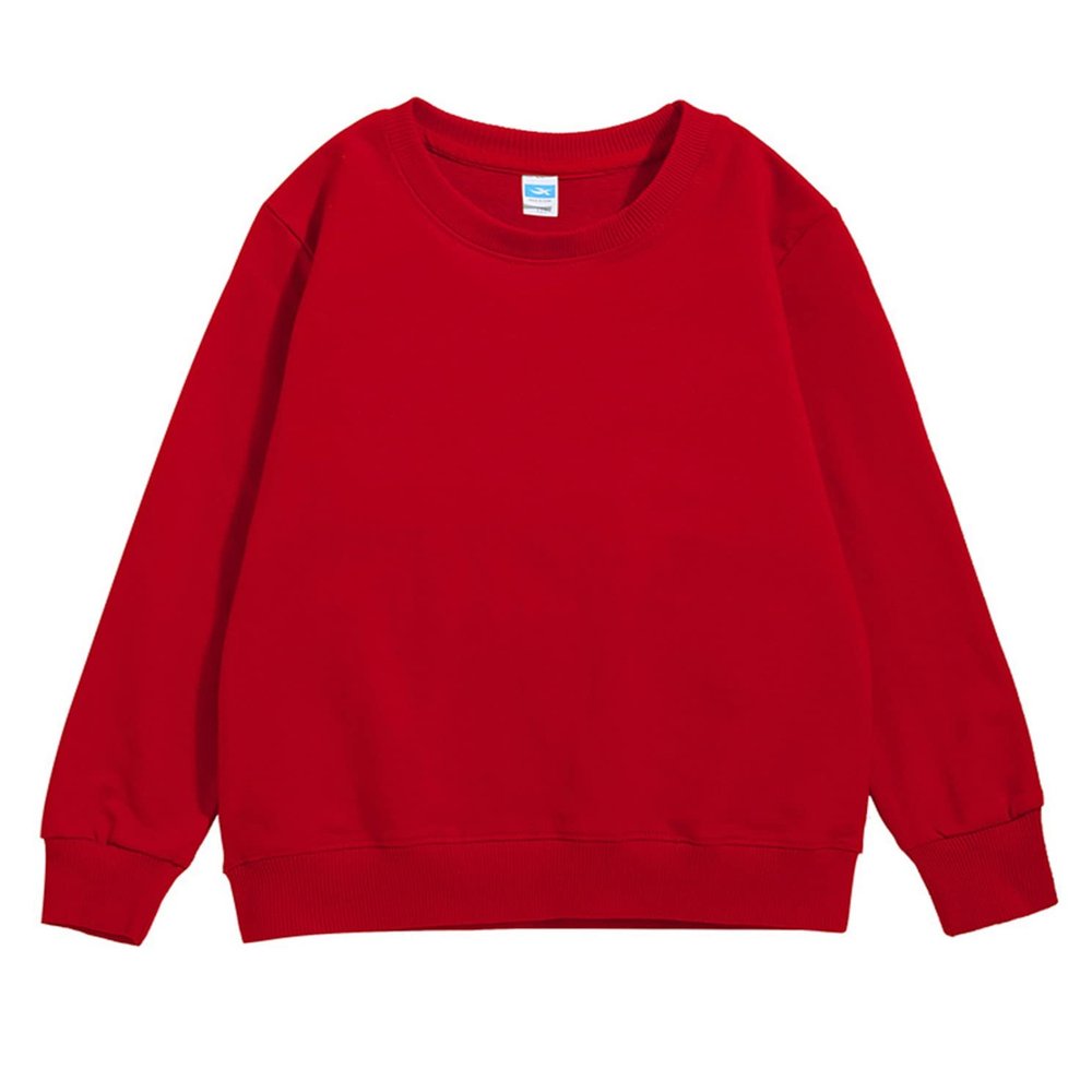 Baby Toddler Boy's Sweatshirt Solid Long Sleeve Pullover Crewneck Shirts Warm Fall Winter Clothes (RD1, 3-4 Years)
