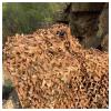 Jolan Sunscreen Camouflage Netting,Desert Reinforced Camo Netting,Military Net,Camping,Hunting,Army,Party Decoration,Car Cover Camouflage Net,Garden Pergola Patio Shade Net,Desert-1.51m(4.9 * 3.3ft) view 4