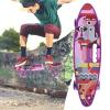 Alvinlite Skateboards Complete 23 Inch Mini Cruiser Retro Skateboard with Colorful LED Light Up Wheels for Kids Boys Girls Youths Beginners view 4