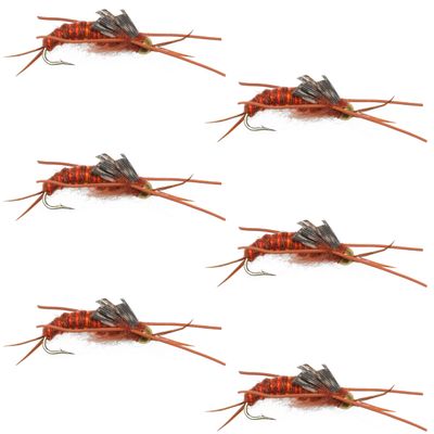 The Fly Fishing Place Tungsten Bead Head Nymph Fly Fishing Flies - Kaufmann's Brown Stone Fly with Rubber Legs - Stonefly Wet Fly - 6 Flies Hook Size 6