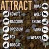 Crooked Bend Predator Chum Blend, Lure Coyote, Raccoon, Opossum, Fox, Skunk, Mink, Weasel, Bobcat, Weasel, Black Bear, Feral Cat, Wild Dog, Hog & Bait Wild Game Animals, 9 Pounds view 4