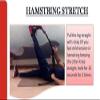 Spancare Stretching Flexibility Training Strap view 4