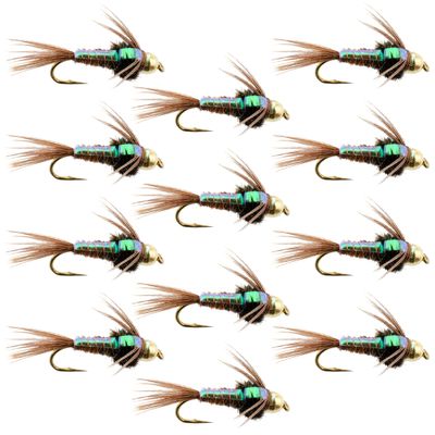 The Fly Fishing Place Tungsten Bead Head Nymph Fly Fishing Flies - Flashback Pheasant Tail Trout Fly - Nymph Wet Fly - 12 Flies Hook Size 16