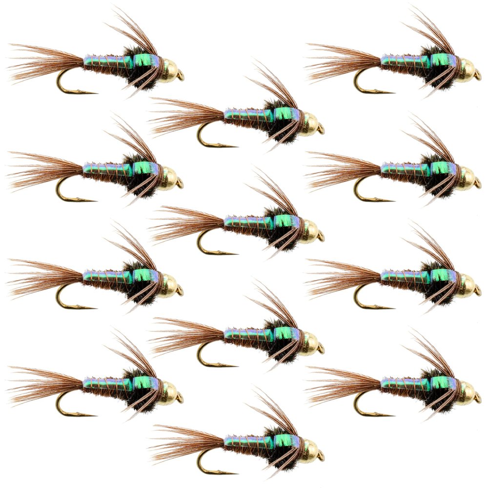 The Fly Fishing Place Tungsten Bead Head Nymph Fly Fishing Flies - Flashback Pheasant Tail Trout Fly - Nymph Wet Fly - 12 Flies Hook Size 16