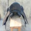 WILD RACE Leather Dressage Doubleflap Changeable Gullets Saddle (17.5", Black) view 2