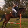 BESPORTBLE Comfortable -Skid Horse Saddle Pad with High Elasticity and Breathable Design for Enhanced Riding Reusable Saddle Cushion for All Riding Styles view 2