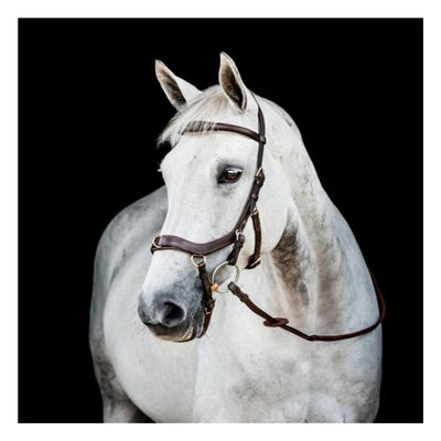 Horseware Ireland Micklem Multi USA, Color: Dark Havana, Size: Small Hors (SBMXM1-NAB0-SC)