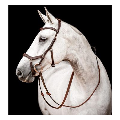 Horseware Ireland Micklem CompBridle w/Reins, Color: Dark Havana, Size: Large Hors (SBMOM2-NAB0-LH)