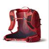 Gregory Miko 15L Unisex Day Hiking Backpack, Ventilated Backpanel, Built-In Hydration Attachment for Water Bladder (Reservoir Not Included), One Size Fits All, Sumac Red view 4