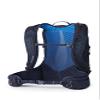 Gregory Miko 20L Unisex Day Hiking Backpack, Ventilated Backpanel, Built-In Hydration Attachment for Water Bladder (Reservoir Not Included), Plus Size, Volt Blue view 4