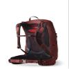 Gregory Zulu 30L Unisex Hiking/Backpacking Pack, Freefloat Hipbelt, Internal Hydration Sleeve For Water Bladder, (Reservoir Not Included), Small/Medium, Rust Red view 4