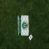 Picnic TIME NCAA Colorado State Rams Impressa Picnic Blanket, Lightweight Beach Blanket, Machine Washable, Outdoor Blanket, (Green and White) view 2