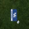 Picnic TIME NCAA Kentucky Wildcats Impressa Picnic Blanket, Lightweight Beach Blanket, Machine Washable, Outdoor Blanket, (Blue and White) view 2