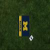 Picnic TIME NCAA Michigan Wolverines Impressa Picnic Blanket, Lightweight Beach Blanket, Machine Washable, Outdoor Blanket, (Blue and Yellow) view 2
